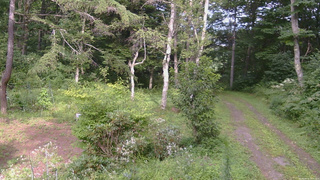 長野県菅平高原 ゆたか山荘 坂上 2026/08/16 15:30