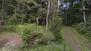 長野県菅平高原 ゆたか山荘 坂上 2026/08/16 15:45