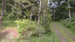 長野県菅平高原 ゆたか山荘 坂上 2026/08/16 16:00