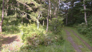 長野県菅平高原 ゆたか山荘 坂上 2026/08/16 16:30