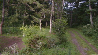 長野県菅平高原 ゆたか山荘 坂上 2026/08/16 16:45