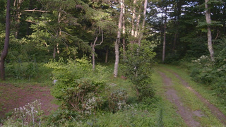 長野県菅平高原 ゆたか山荘 坂上 2026/08/16 17:15