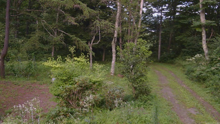 長野県菅平高原 ゆたか山荘 坂上 2026/08/16 17:30