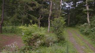長野県菅平高原 ゆたか山荘 坂上 2026/08/16 17:45