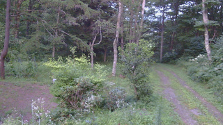 長野県菅平高原 ゆたか山荘 坂上 2026/08/16 18:30