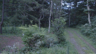 長野県菅平高原 ゆたか山荘 坂上 2026/08/16 18:45