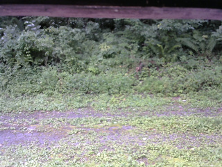 長野県菅平高原 ゆたか山荘 東側(坂下) 2026/08/17 09:45