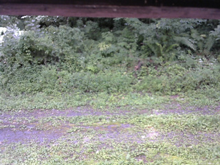 長野県菅平高原 ゆたか山荘 東側(坂下) 2026/08/17 11:45
