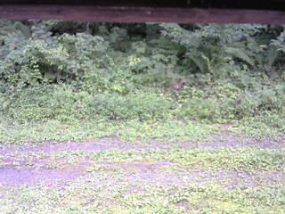 長野県菅平高原 ゆたか山荘 東側(坂下) 2026/08/17 12:30