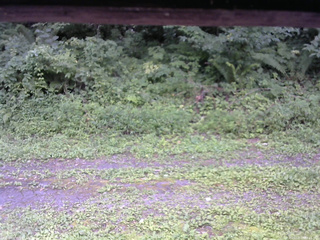 長野県菅平高原 ゆたか山荘 東側(坂下) 2026/08/17 12:45