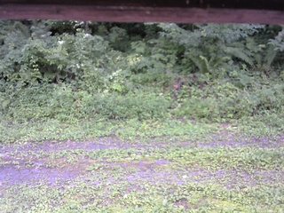長野県菅平高原 ゆたか山荘 東側(坂下) 2026/08/17 14:15