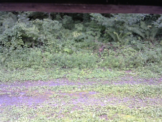 長野県菅平高原 ゆたか山荘 東側(坂下) 2026/08/17 14:30