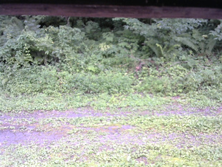 長野県菅平高原 ゆたか山荘 東側(坂下) 2026/08/17 15:00