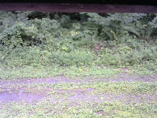 長野県菅平高原 ゆたか山荘 東側(坂下) 2026/08/17 15:30