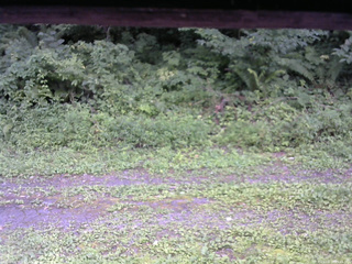 長野県菅平高原 ゆたか山荘 東側(坂下) 2026/08/17 15:45