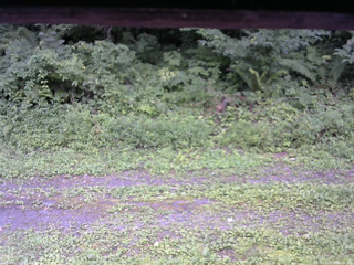 長野県菅平高原 ゆたか山荘 東側(坂下) 2026/08/17 16:00