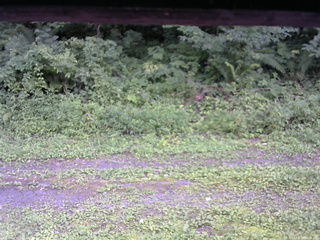 長野県菅平高原 ゆたか山荘 東側(坂下) 2026/08/17 16:30