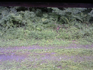 長野県菅平高原 ゆたか山荘 東側(坂下) 2026/08/17 17:30