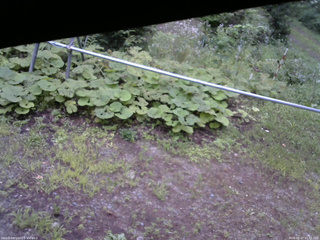 長野県菅平高原 ゆたか山荘 駐車場 2026/08/17 05:45