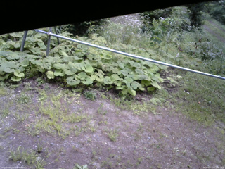 長野県菅平高原 ゆたか山荘 駐車場 2026/08/17 11:00