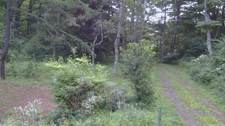 長野県菅平高原 ゆたか山荘 坂上 2026/08/17 05:15