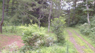 長野県菅平高原 ゆたか山荘 坂上 2026/08/17 06:00