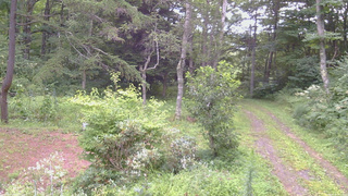 長野県菅平高原 ゆたか山荘 坂上 2026/08/17 06:30