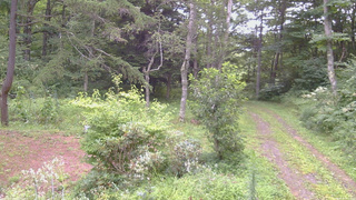 長野県菅平高原 ゆたか山荘 坂上 2026/08/17 06:45