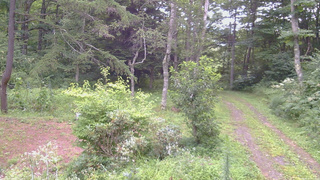 長野県菅平高原 ゆたか山荘 坂上 2026/08/17 07:00