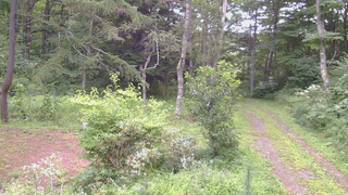 長野県菅平高原 ゆたか山荘 坂上 2026/08/17 07:30