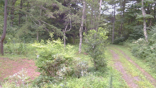 長野県菅平高原 ゆたか山荘 坂上 2026/08/17 07:45