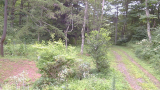 長野県菅平高原 ゆたか山荘 坂上 2026/08/17 08:00