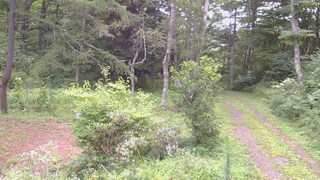長野県菅平高原 ゆたか山荘 坂上 2026/08/17 08:15