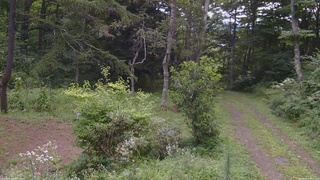 長野県菅平高原 ゆたか山荘 坂上 2026/08/17 08:30