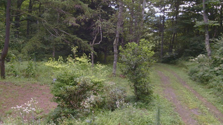長野県菅平高原 ゆたか山荘 坂上 2026/08/17 08:45
