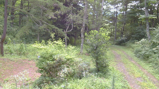 長野県菅平高原 ゆたか山荘 坂上 2026/08/17 09:00