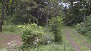 長野県菅平高原 ゆたか山荘 坂上 2026/08/17 09:15