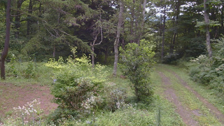 長野県菅平高原 ゆたか山荘 坂上 2026/08/17 09:30