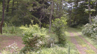 長野県菅平高原 ゆたか山荘 坂上 2026/08/17 09:45