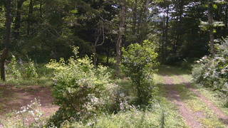 長野県菅平高原 ゆたか山荘 坂上 2026/08/17 10:00