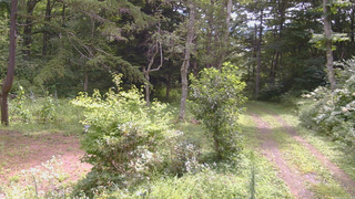 長野県菅平高原 ゆたか山荘 坂上 2026/08/17 10:15