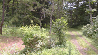 長野県菅平高原 ゆたか山荘 坂上 2026/08/17 10:30