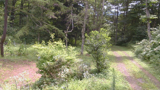 長野県菅平高原 ゆたか山荘 坂上 2026/08/17 10:45