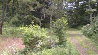 長野県菅平高原 ゆたか山荘 坂上 2026/08/17 11:00