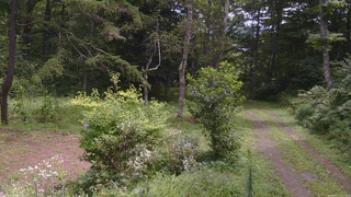 長野県菅平高原 ゆたか山荘 坂上 2026/08/17 11:15