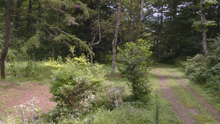 長野県菅平高原 ゆたか山荘 坂上 2026/08/17 11:30
