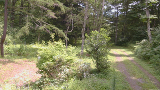 長野県菅平高原 ゆたか山荘 坂上 2026/08/17 11:45