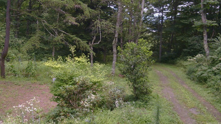 長野県菅平高原 ゆたか山荘 坂上 2026/08/17 12:00
