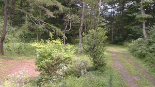 長野県菅平高原 ゆたか山荘 坂上 2026/08/17 12:15