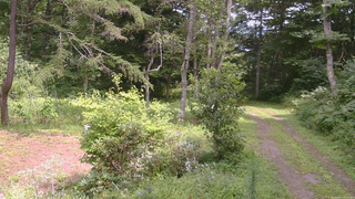 長野県菅平高原 ゆたか山荘 坂上 2026/08/17 12:30